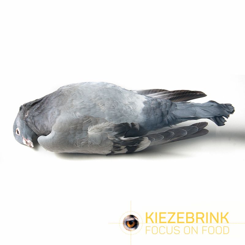 Kiezenbrink Diepvries Duif Per Stuk (enkel afhaling) wit - bruin - grijs voeding roofvogels