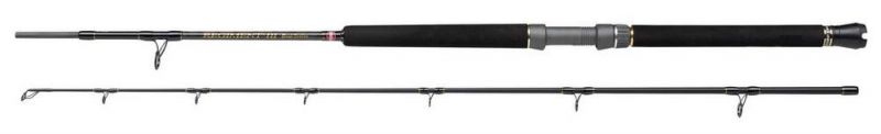 Penn Regiment III 20-30LB noir  2m10