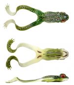 Predator Iris The Frog natural green  10cm 10g