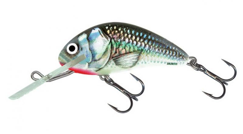 Salmo Hornet Floating holographic grey shiner  4cm 3g