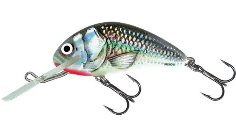 Salmo Hornet Floating holographic grey shiner  5cm 7g