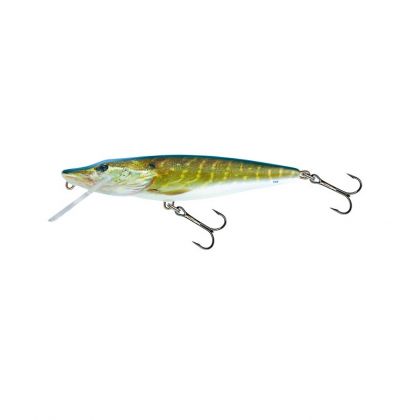 Salmo   13cm 21g