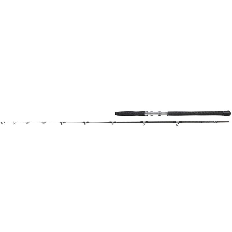 Spro Monster Rod zwart zeevis zeebaarshengel 3m20 <420g