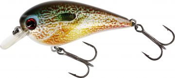 Westin BassBite 2.5 Squarebill Floating real pumpkinseed  7cm 16g