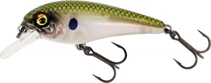 Westin BullyBite Crankbait green ghost roofvis kunstaas 6cm 9g