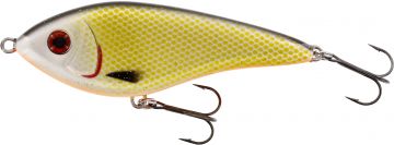 Westin Swim Low Floating official roach  10cm 31g